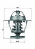 BEHR TX 68 88D Thermostat, coolant